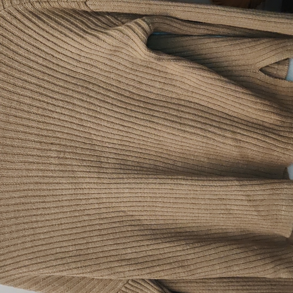 Tan Wild Fable Sweater